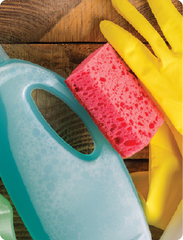 Cleaning Department