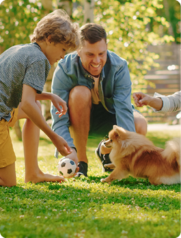 Pet Supplies